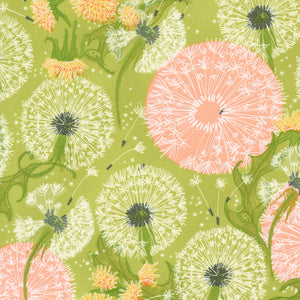 48750 13 GRASS - DANDI DUO by Robin Pickens for Moda Fabrics