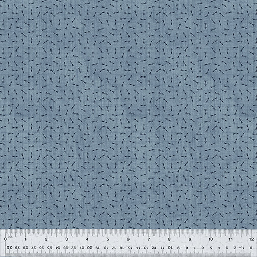 53637-8 CHAMBRAY - DIRECTION - COTTON - BEACON by Whistler Studios for Windham Fabrics