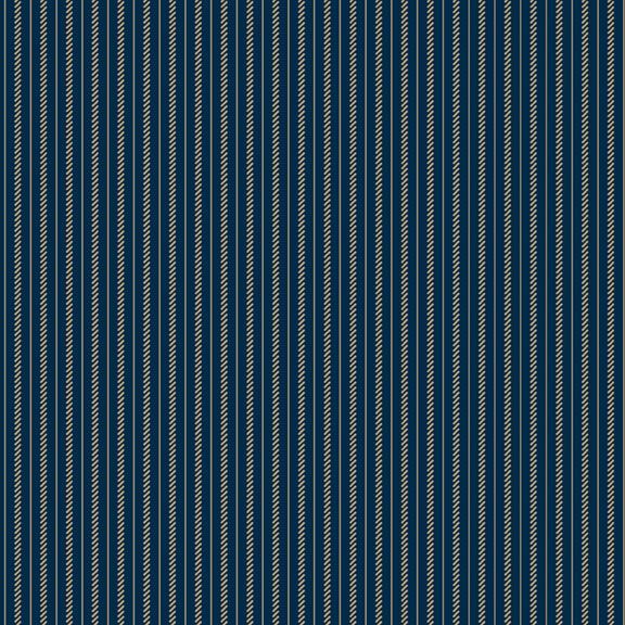 R220706 NAVY - TICKING - SEASIDE by Paula Barnes for Marcus Fabrics