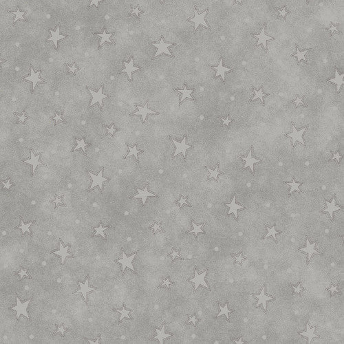 Q-8294-91 SILVER -100% COTTON - STARRY BASICS by Leanne Anderson of The Whole Country Caboodle for Henry Glass & Co. Inc.