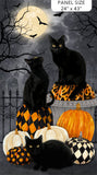 27084-99 BLACK MULTI PACKED PUMPKINS - HALLOW'S EVE by Cerrito Creek Studio for Northcott Fabrics