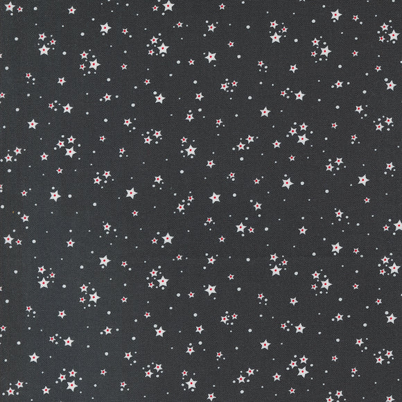 29187 24 CHARCOAL - STARBERRY by Corey Yoder for Moda Fabrics