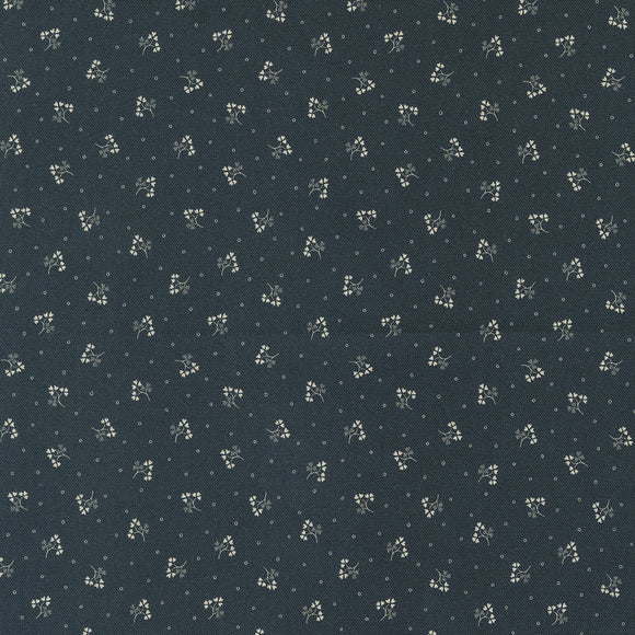 31704 24 GRAPHITE - GOODNIGHT IRENE by Betsy Chutchian for Moda Fabrics