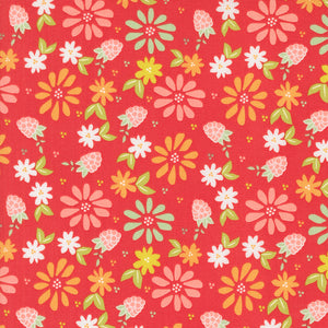 37690 13 -RASPBERRY - RASPBERRY SUMMER by Sherri and Chelsi for Moda Fabrics