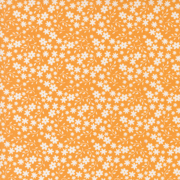 37693 14 - APRICOT - RASPBERRY SUMMER by Sherri and Chelsi for Moda Fabrics