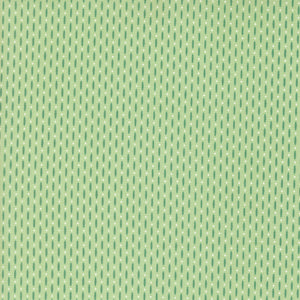 37696 25 - MINT - RASPBERRY SUMMER by Sherri and Chelsi for Moda Fabrics