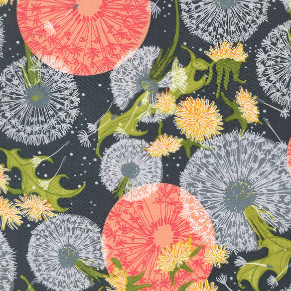 48750 18 GRAPHITE - DANDI DUO by Robin Pickens for Moda Fabrics