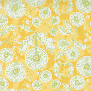 48751 12 MAIZE - DANDI DUO by Robin Pickens for Moda Fabrics