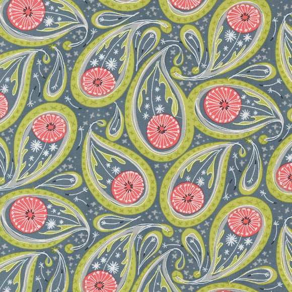 48753 17 GRAPHITE - DANDI DUO by Robin Pickens for Moda Fabrics