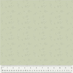 54686-12 MINT - ASTRA - NATURE STUDY 2.0 by Whistler Studios for Windham Fabrics