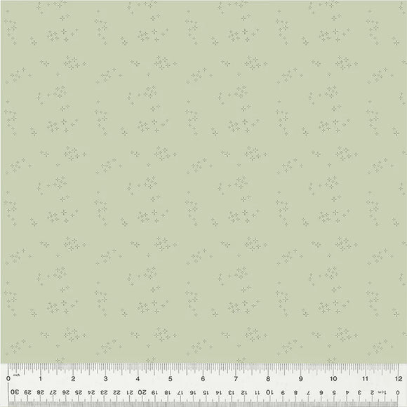 54686-12 MINT - ASTRA - NATURE STUDY 2.0 by Whistler Studios for Windham Fabrics