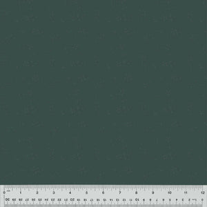 54686-4 BLUE AGAVE - ASTRA - NATURE STUDY 2.0 by Whistler Studios for Windham Fabrics