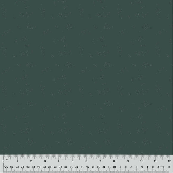 54686-4 BLUE AGAVE - ASTRA - NATURE STUDY 2.0 by Whistler Studios for Windham Fabrics