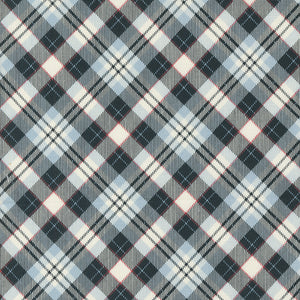 55664 24 PLAID FROST - ON DASHER by Sweetwater for Moda Fabrics