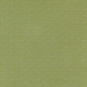 55667 13 MINI SLOPES PINE - ON DASHER by Sweetwater for Moda Fabrics