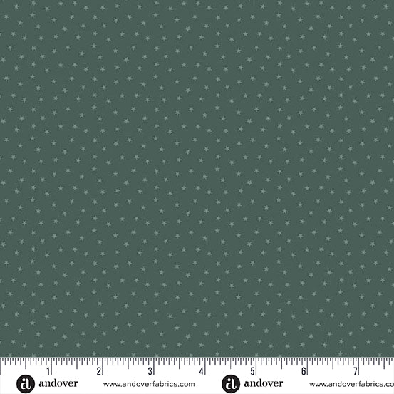 A-1234-G2 SUCCULENT - TWINKLE by Laundry Basket Quilts for Andover Fabrics