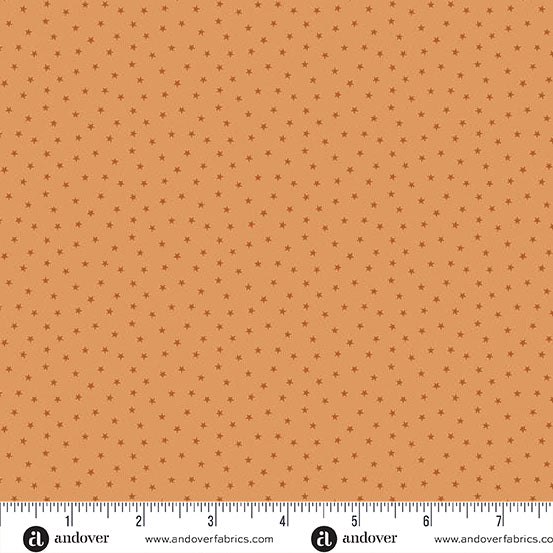 A-1234-O1 CORAL - TWINKLE by Laundry Basket Quilts for Andover Fabrics