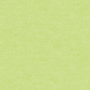 9636-04 COTTON SHOT LIME - by Amanda Murphy for Benartex Designer Fabrics