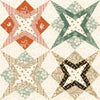 C16929R STAR CHEATER PRINT MULTI || MORNING LATTE by Sandy Gervais for Riley Blake Designs