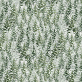 KATIE-CD3694 FOREST - SNOWY PINE TREES - WINTER WONDERLAND by Katie Hennagir for Timeless Treasures Fabrics