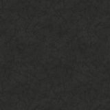 R191908D-BLACK - TEXTURE || Halloween Haunts by Cindy Staub for Marcus Fabrics {THE PANEL IS ON OUR PANEL PAGE}