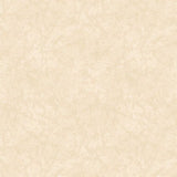 R191908D-CREAM - TEXTURE || Halloween Haunts by Cindy Staub for Marcus Fabrics {THE PANEL IS ON OUR PANEL PAGE}