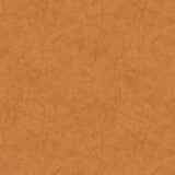 R191908D-ORANGE - TEXTURE || Halloween Haunts by Cindy Staub for Marcus Fabrics {THE PANEL IS ON OUR PANEL PAGE}