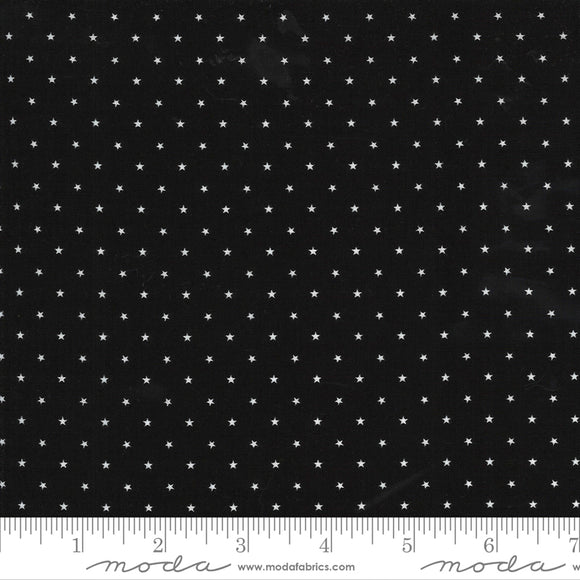 24106 20 MIDNIGHT-TWINKLE /by April Rosenthal Prairie Grass for MODA FABRICS