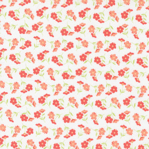 29162 11 CLOUD - SUNWASHED by Corey Yoder for Moda Fabrics