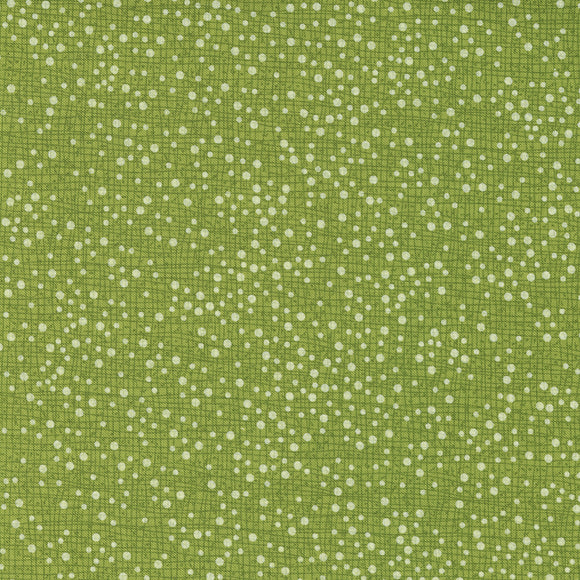 48715 216 FERN - PANSYS POSIES by Robin Pickens for Moda Fabrics