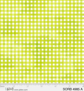 4985-A - GINGHAM - SORBET by P&B TEXTILES