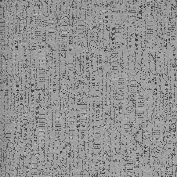55520 16 GRAY/SPRING CHICKEN/by Sweetwater for Moda Fabrics