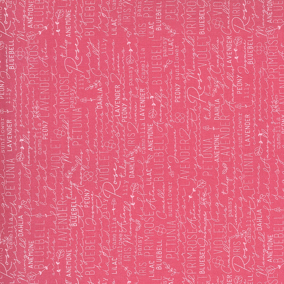 55520 22 PINK/SPRING CHICKEN/by Sweetwater for Moda Fabrics
