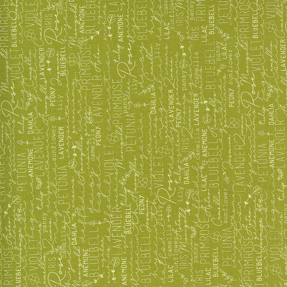 55520 23 GREEN/SPRING CHICKEN/by Sweetwater for Moda Fabrics