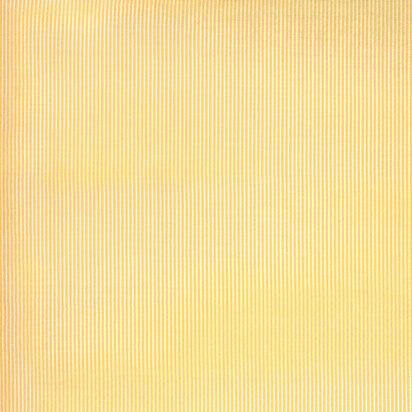 55526 14 YELLOW/SPRING CHICKEN/by Sweetwater for Moda Fabrics