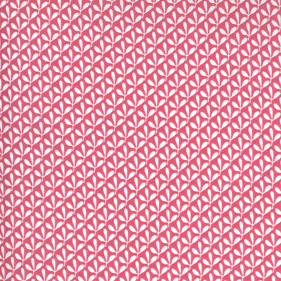 55528 12 PINK/SPRING CHICKEN/by Sweetwater for Moda Fabrics