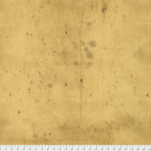PWTH115 AMBER PROVISIONS by Tim Holtz Eclectic Elements for FREESPIRT FABRICS